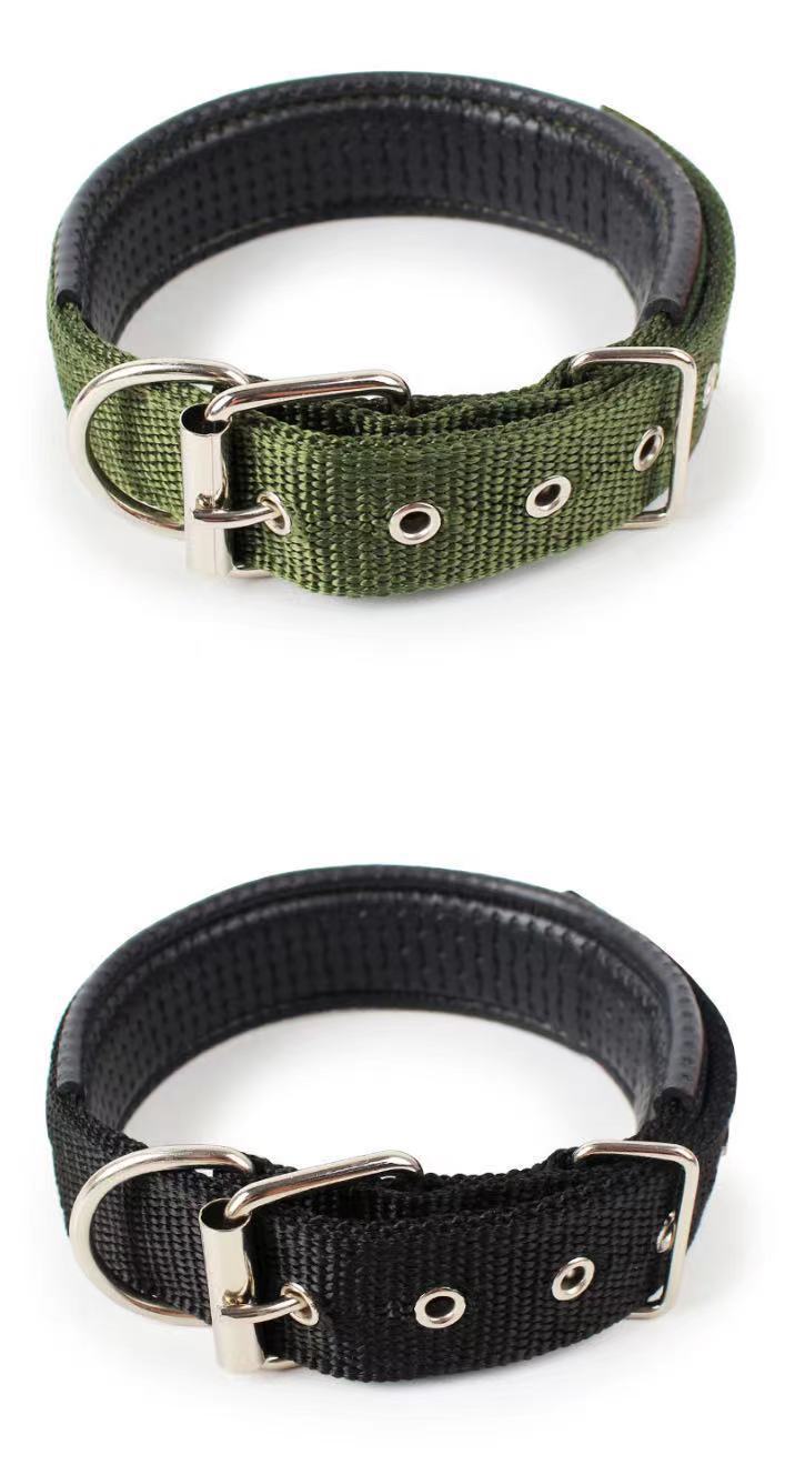 Durable Nylon Dog Collar – Adjustable Collar for Small to XXL Dogs, Lightweight & Comfortable Everyday Use