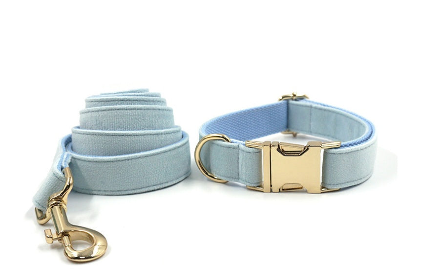 Sky Blue Velvet Gold Collar & Leash Set – Stylish Pet Collar with Matching Leash for Small to Large Dogs