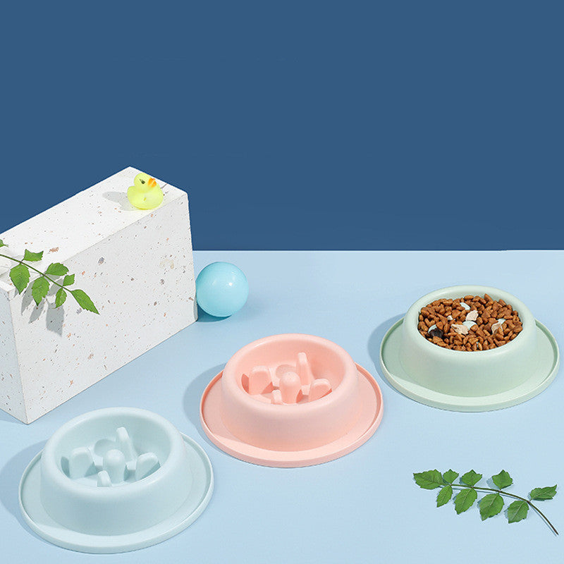 Anti-Choking Pet Slow Feeder Bowl – Non-Slip, Easy-Clean Food Dish for Cats & Dogs
