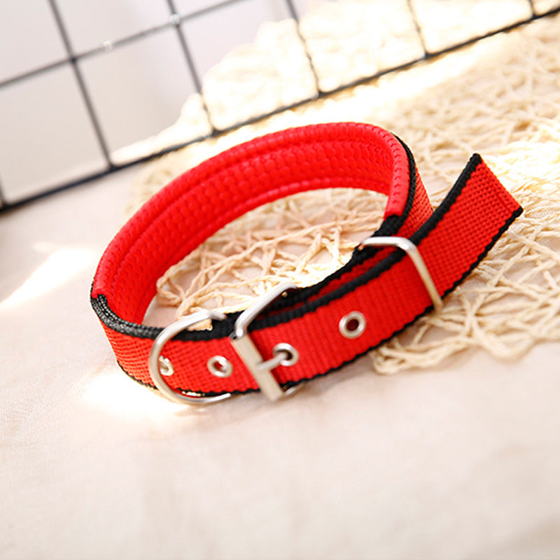 Durable Nylon Dog Collar – Adjustable Collar for Small to XXL Dogs, Lightweight & Comfortable Everyday Use