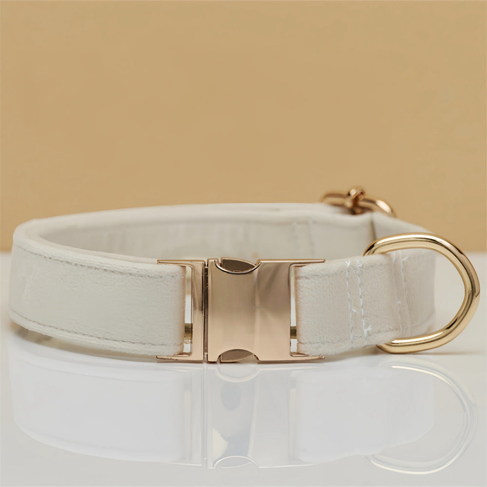 Solid Colour Pet Collar & Leash Set – Simple Polyester Dog Collar with Matching Lead for Everyday Walks