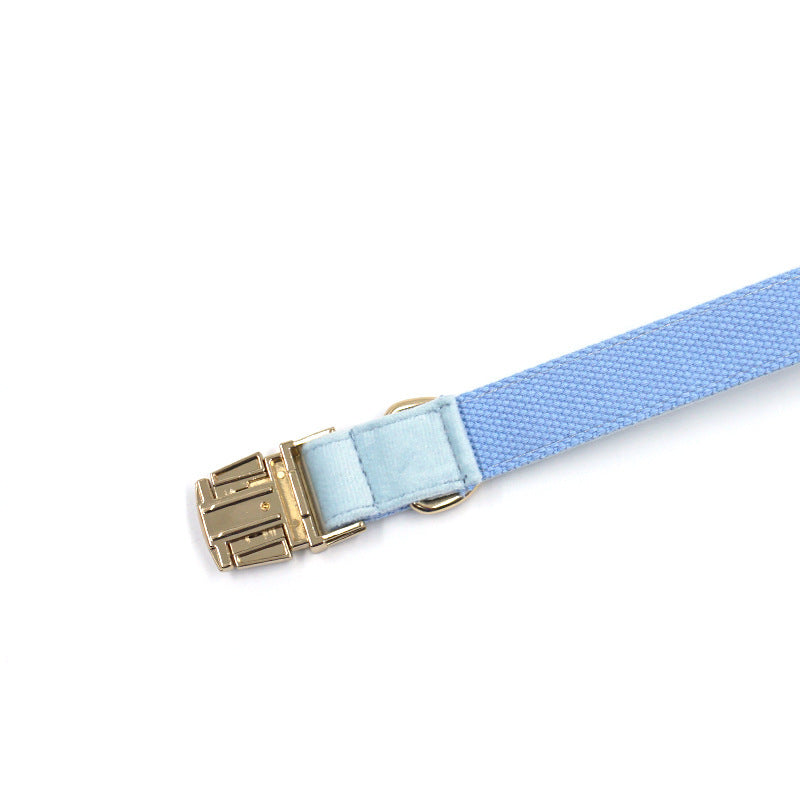 Sky Blue Velvet Gold Collar & Leash Set – Stylish Pet Collar with Matching Leash for Small to Large Dogs