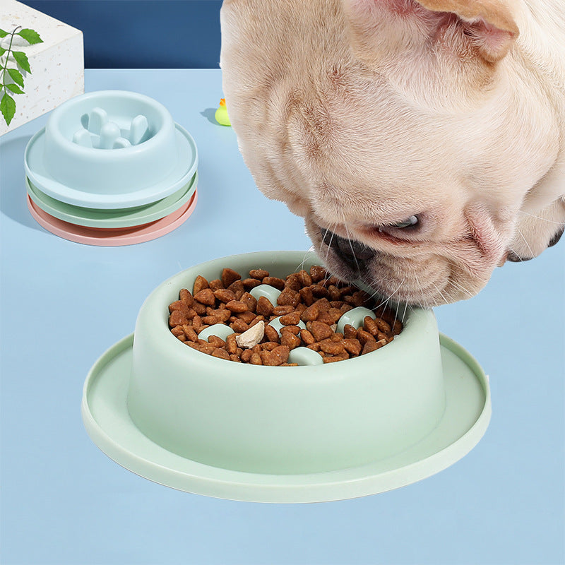 Anti-Choking Pet Slow Feeder Bowl – Non-Slip, Easy-Clean Food Dish for Cats & Dogs