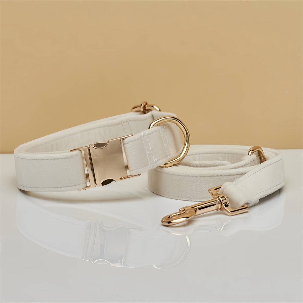 Solid Colour Pet Collar & Leash Set – Simple Polyester Dog Collar with Matching Lead for Everyday Walks