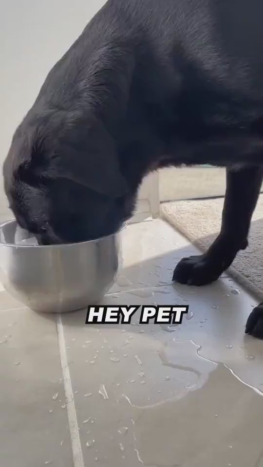 1.mp4